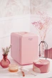 Холодильник Adler AD 8084 Pink (955555910230778) - Уцінка - зображення 13