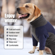 Флисовый комбинезон для собак Wan Talk Dog Clothes Cold Proof, Bluish Grey, XS - изображение 3