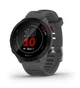 Смарт-годинник Garmin Forerunner 55 Monterra Grey (010-02562-13) - зображення 1