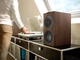 Акустичні колонки KEF Q Concerto Meta Satin White - зображення 5