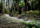 Велосипед гірський (MTB) Kellys Kiter 30 24 Silver 2025 - изображение 3