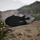 Мужские кроссовки для треккинга с Gore-Tex Adidas Terrex Trailmaker 2 Gtx IH3736 45.5 (10.5UK) 29 см Gretwo/Gresix/Chsogr (4067898404408) - изображение 12