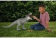 Динозавр Тираннозавр Рекс 99 см Мир Юрского Периода Jurassic World Tyrannosaurus Rex Mattel JGB52 - изображение 7