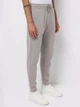 Спортивные штаны мужские Colin's CL1077099LGR L Light Grey (8684112950518) - изображение 1