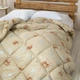 Зимнее одеяло евроразмер 200*210 см, 450 гр/м2 гипоаллергенное DREAM CAMEL ТЕП Бежевый (39060200210) - изображение 1