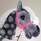 Недовуздок рожевий для Hobby Horse - аксесуари для хобіхорса коня на палиці хоббі хорс - изображение 3