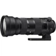 Длиннофокусный объектив Sigma AF 150-600mm f/5-6,3 DG OS HSM S (Nikon) - изображение 1
