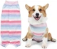 Костюм для восстановления собак WanTalk Striped Recovery Suit, Pink, XL - изображение 1