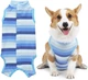 Костюм для восстановления собак WanTalk Striped Recovery Suit, Blue, S - изображение 1