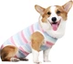 Костюм для восстановления собак WanTalk Striped Recovery Suit, Pink, XL - изображение 2
