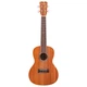 Укулеле Cordoba 15CM - изображение 3