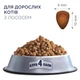 Сухий корм для дорослих котів CLUB 4 PAWS Adult Cats with Salmon з лососем 14 кг (4820083909238) - зображення 2