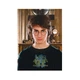 Пазл DoDo Hard-M Harry Potter. Портрет Гаррі» 450 елементів 200576 - зображення 3