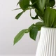 Ваза для квітів MBM HOME пластикова 20 см DH-FLOWERS-04 WHITE Біла - зображення 8