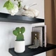 Горшок-кашпо для растений MBM HOME DH-FLOWERS-24 S WHITE белый - изображение 2