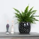 Горщик-кашпо для рослин MBM HOME DH-FLOWERS-27 BLACK чорний - зображення 2