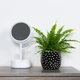 Горщик-кашпо для рослин MBM HOME DH-FLOWERS-27 BLACK чорний - зображення 3