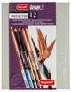 Набір олівців Bruynzeel Specialties 12 шт. (8710141096443) - зображення 1