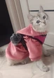 Толстовка для котів (кішок) Бубон M Рожевий - зображення 6