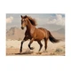 Пазлы Interdruk Wild Horses №2 "Дикий конь" 48х67 см 1000 шт (384973) - изображение 2