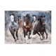 Пазлы Interdruk Wild Horses №3 "Табун диких коней" 48х67 см 1000 шт (384980) - изображение 2