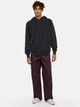 Bluza męska z kapturem kangurka Dickies DK0A866DBLK1 L Czarna - obraz 3