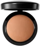 Пудра для лица MAC Mineralize Skinfinish Natural Dark Deepest 10 г (773602338740) - изображение 1