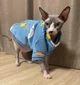 Толстовка для котов (кошек) Лаки Динозавр M Голубой - изображение 8