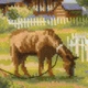 Набор для вышивания Riolis Деревенский полдень (1501) - изображение 2