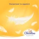 Підгузки Chicolino Super Soft Розмір 5 (12-17 кг) 34 шт (4823098414452) - зображення 3