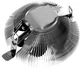 Кулер ID-COOLING DK-01S - изображение 4