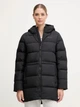 Пуховик зимний женский Jack Wolfskin Frozen Palace Long Jkt W Rds A65096-6000 M Черный (4064886547086) - изображение 1