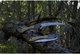 Пила розкладна Silky Gomboy Curve 240-8 Outback Edition (752-24) - зображення 6