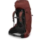 Туристический рюкзак Osprey Aether 65 Acorn Red S/M (009.3999) - изображение 2