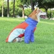 Зимняя куртка для собак Wan Talk Fleece Turtleneck Dog Vest, L - изображение 6