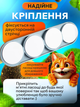 Кошачья мята для кошек 4в1, лакомство - шарики сладости для котов из мататаби для котов и леденец с витаминами - изображение 5