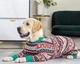 Пижама/попона для собак MIAODODO D15 Christmas striped, XS - изображение 3