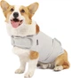 Успокаивающий жилет для собак WanTalk Dog Anxiety Jacket, Light Grey, M - изображение 1