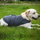 Успокаивающий жилет для собак WanTalk Dog Anxiety Jacket, Dark Grey, 2XL - изображение 4