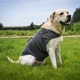 Успокаивающий жилет для собак WanTalk Dog Anxiety Jacket, Dark Grey, 2XL - изображение 5