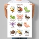 Учебный постер для малышей Насекомые на английском Insects А3 30х42 см (D245_А3) - изображение 1