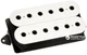 Звукосниматель DiMarzio DP158FW Evolution Neck F-Spaced White - изображение 1