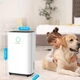 Осушувач повітря Lovio SmartDry Pro LVDE25Y1 - изображение 8