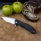 Ніж складаний Ruike D198-PB (A-016387) - зображення 20
