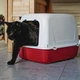 Закритий туалет для кішок Ferplast Ariel 10 Home 47х36х35 см Червоний (72068099) - зображення 3
