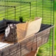 Клетка для кроликов и морских свинок Ferplast Rabbit 100 Double 95х57х93.5 см Серая двухэтажная (57046817) - изображение 9