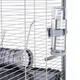 Клетка для хорьков Ferplast Furеt Extra Large 80х75х86.5 см (57062414) - изображение 8