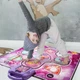 Танцевальный коврик для детей DANCINGMAT 90х90см музыкальный коврик для танцев со встроенной музыкой и подсветкой на 6 режимов 9 кнопок - изображение 6