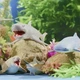 Стретч-игрушка в виде животного серии Legend of animals Макси - Хранители океана(в дисп.) - изображение 4
