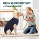 Восстановительная попона для собак Wan Talk Recovery Suit, Dark Blue Stripe, XL - изображение 5